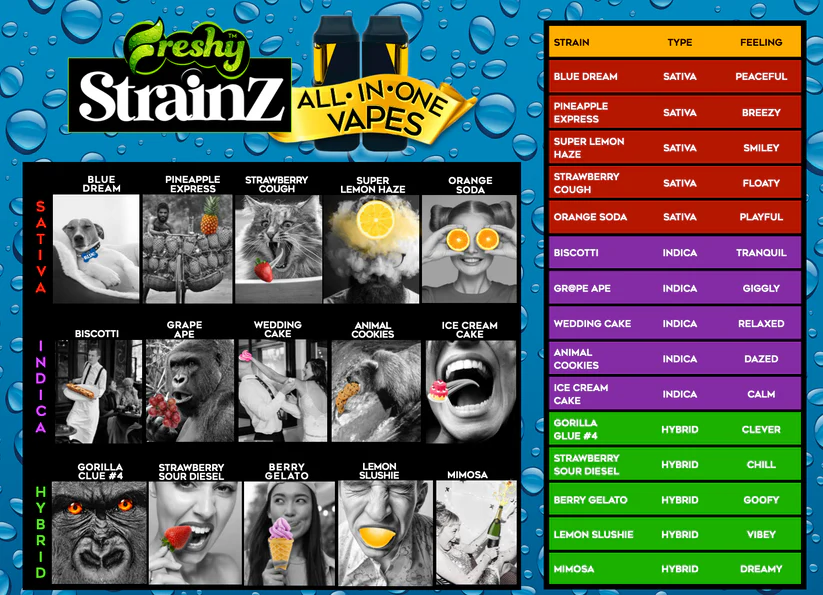 Freshy Strainz 2g Disposable Vapes