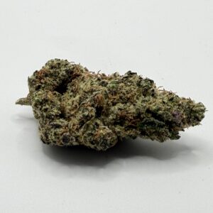 Blue Andeez single flower