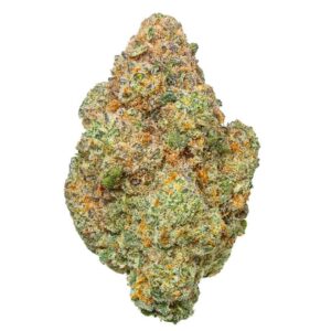 Key Lime Jack flower