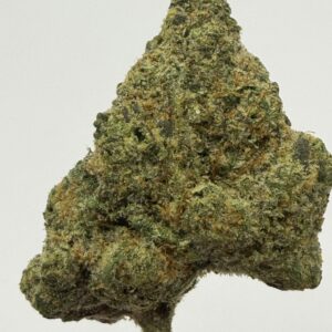 Future Haze single flower