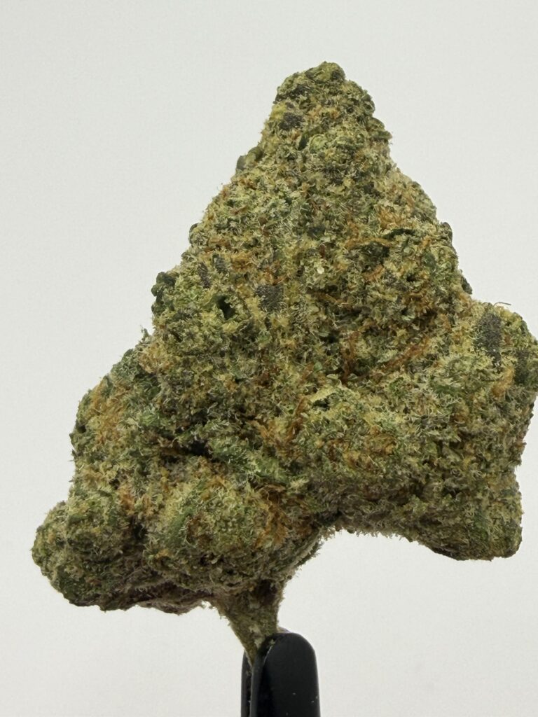 Future Haze single flower