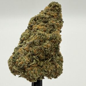 White Lemon single flower bud