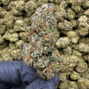 Frosted Waffles(H) 35%