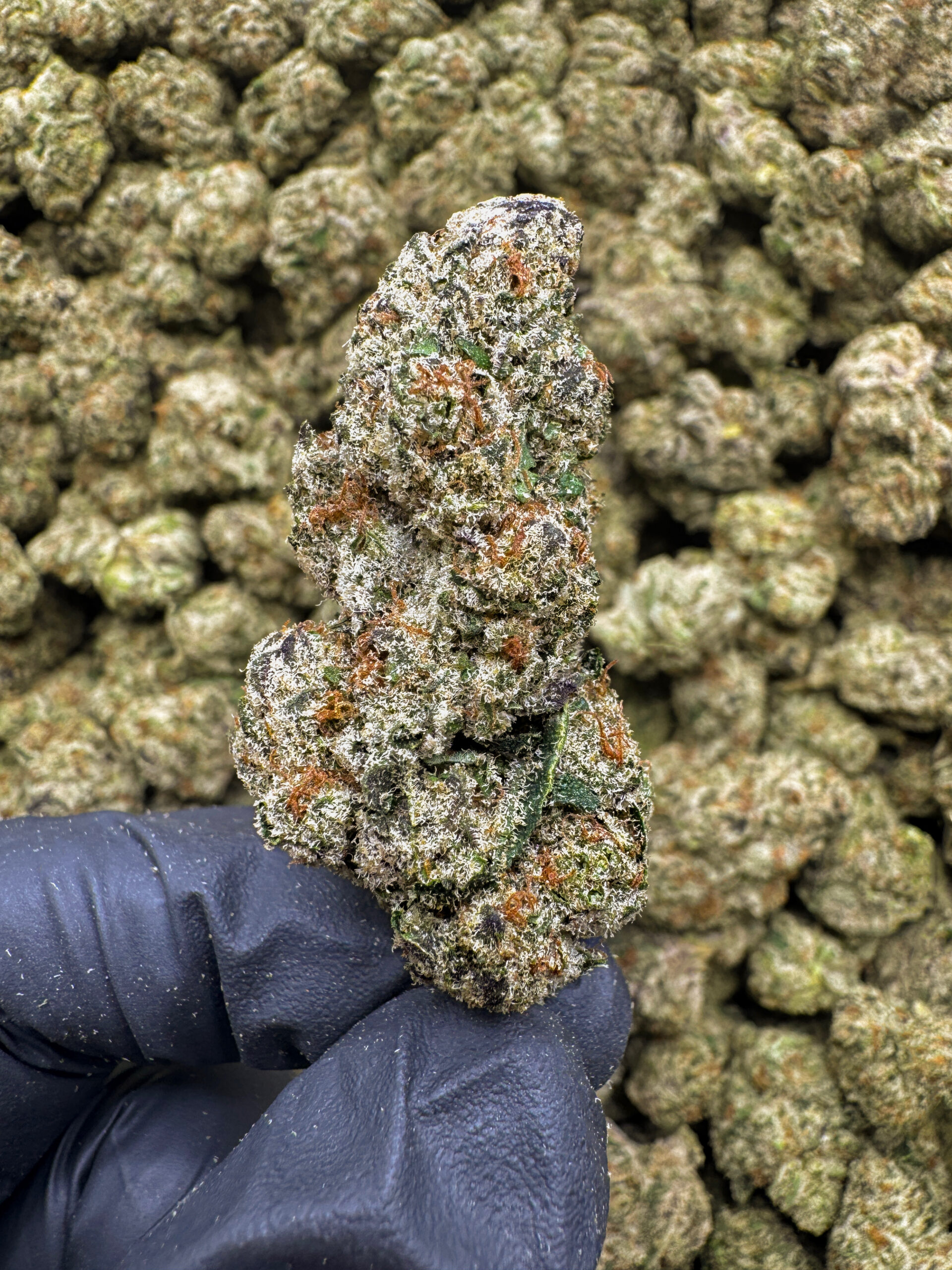 Frosted Waffles(H) 35%