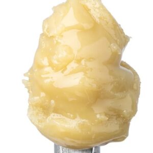 Government Oasis(H) Live Rosin 1G