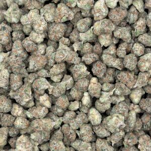Blue Nerds(H)