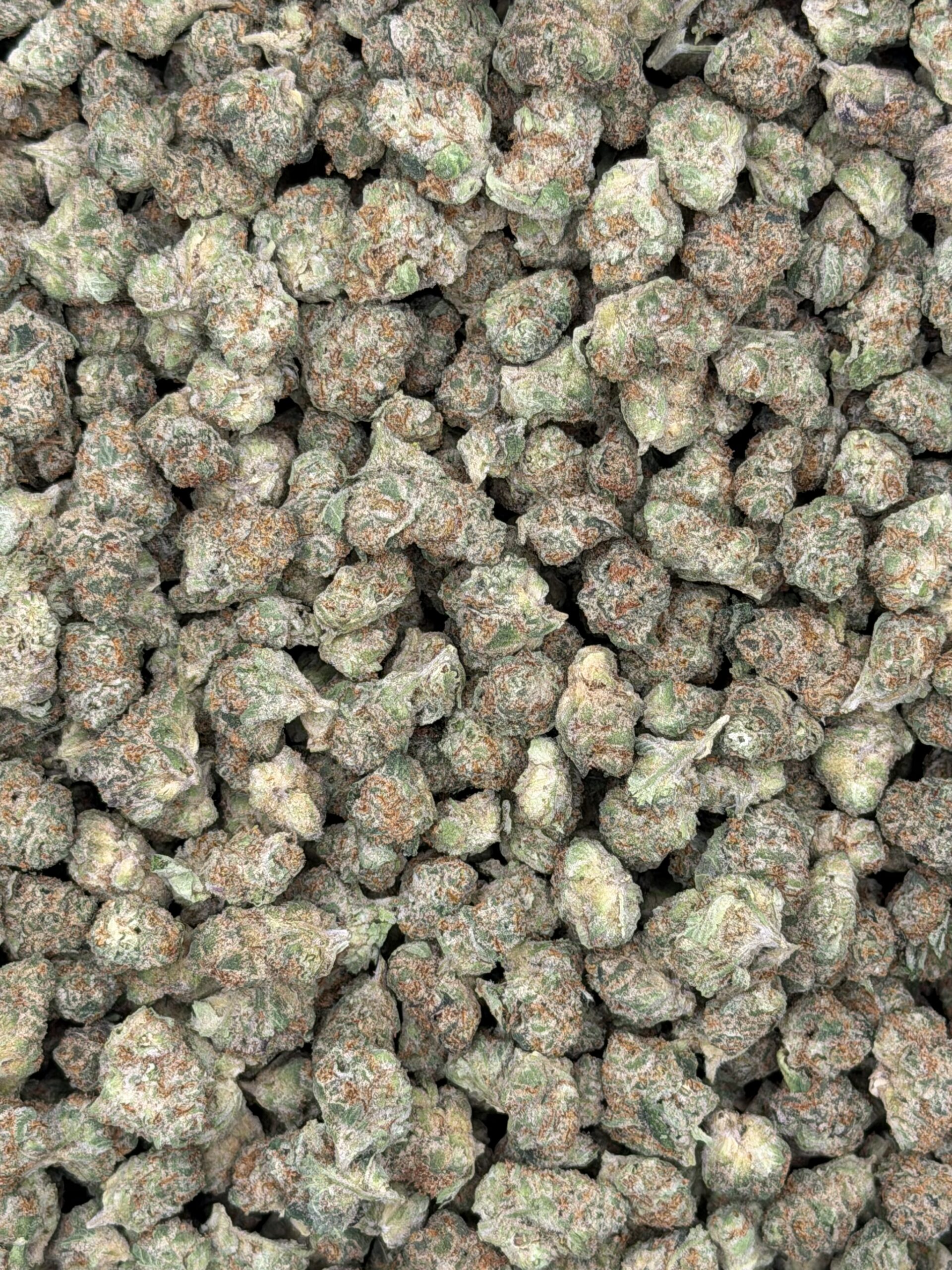 Blue Nerds(H)