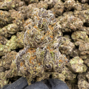 White Guava (H)