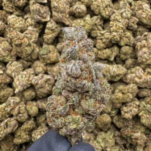 Purple Haze (S) 32.6%