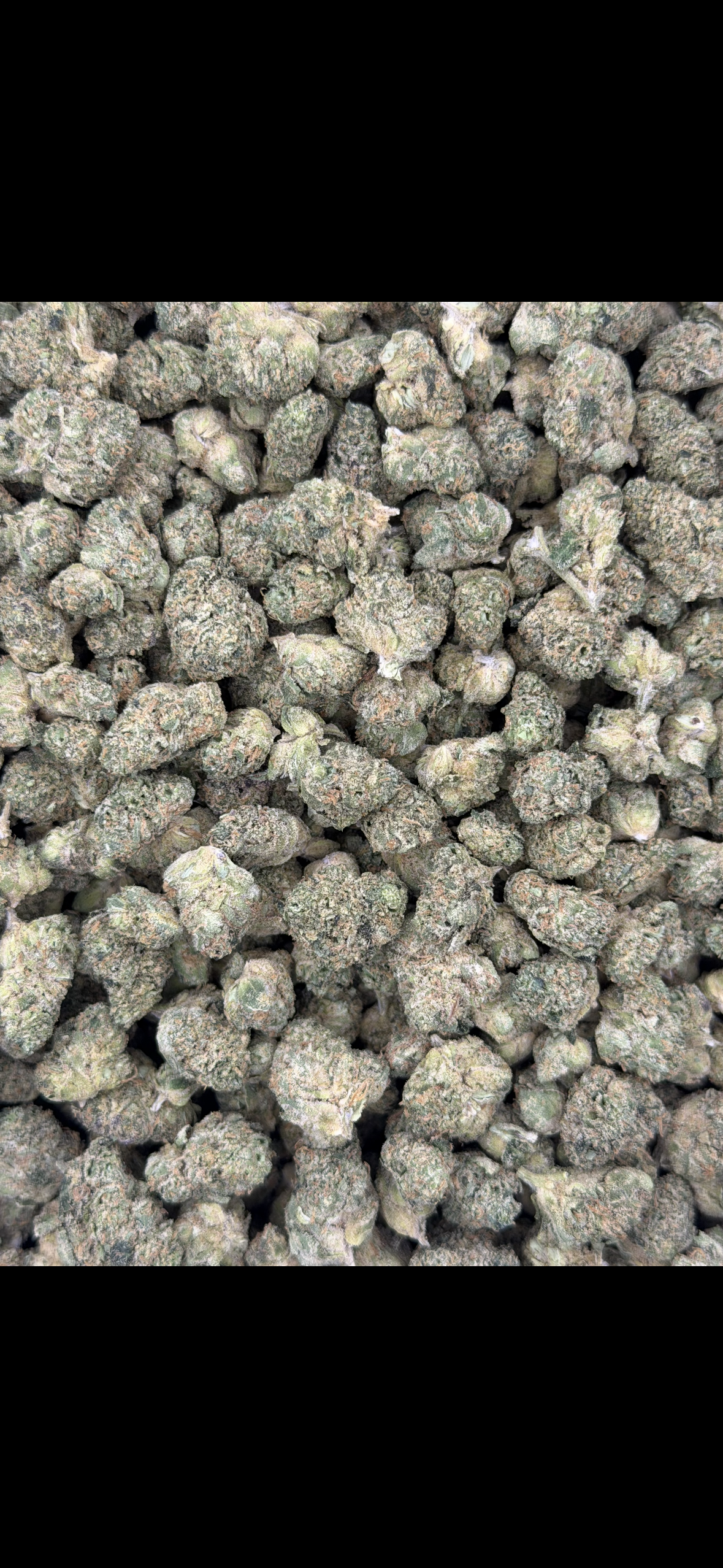Gelato Float (I) 28%